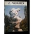 COLECTIA DE ARTA - DIMITRIE PACIUREA - ALBUM COLECTIA DE ARTA - DIMITRIE PACIUREA - ALBUM